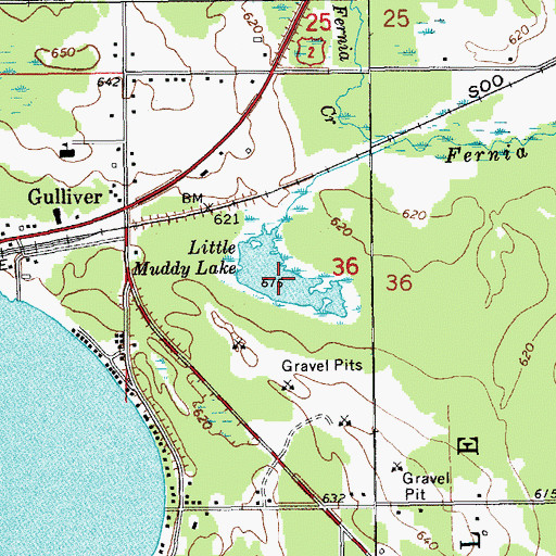 Topographic Map of Little Muddy Lake, MI