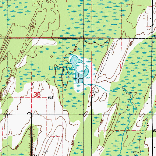 Topographic Map of Little Pine Lake, MI