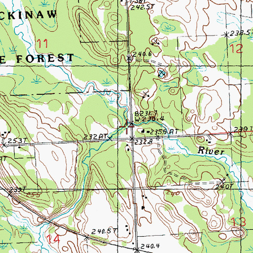 Topographic Map of Little Rainy River, MI