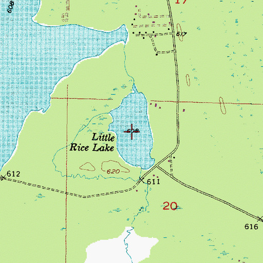 Topographic Map of Little Rice Lake, MI