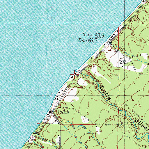 Topographic Map of Little Silver Creek, MI