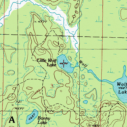 Topographic Map of Little Wolf Lake, MI