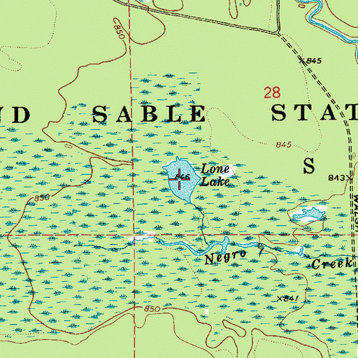 Topographic Map of Lone Lake, MI