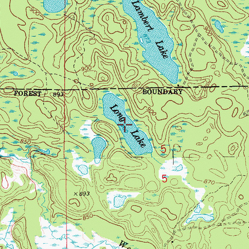 Topographic Map of Long Lake, MI