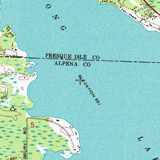 Topographic Map of Long Lake, MI