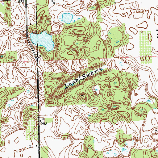 Topographic Map of Long Swamp, MI