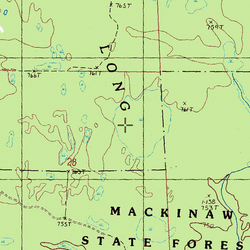 Topographic Map of Long Swamp, MI
