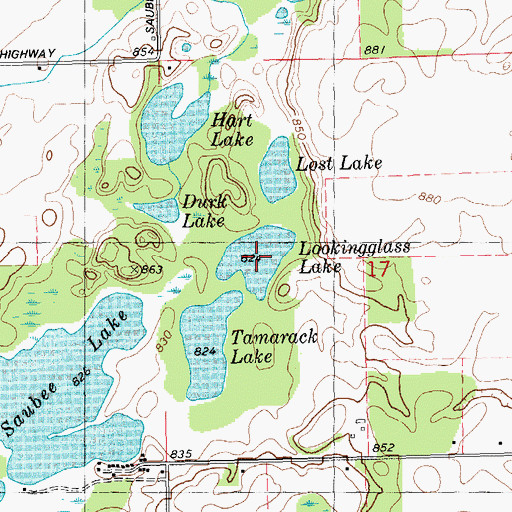 Topographic Map of Lookingglass Lake, MI