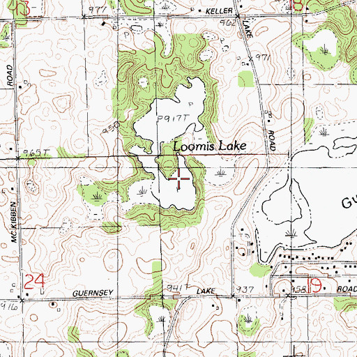 Topographic Map of Loomis Lake, MI