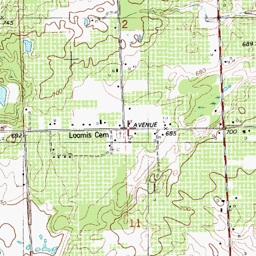 Topographic Map of Loomis School, MI