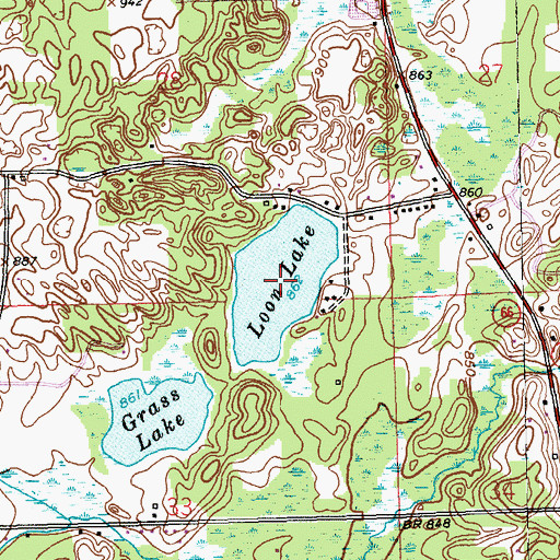 Topographic Map of Loon Lake, MI
