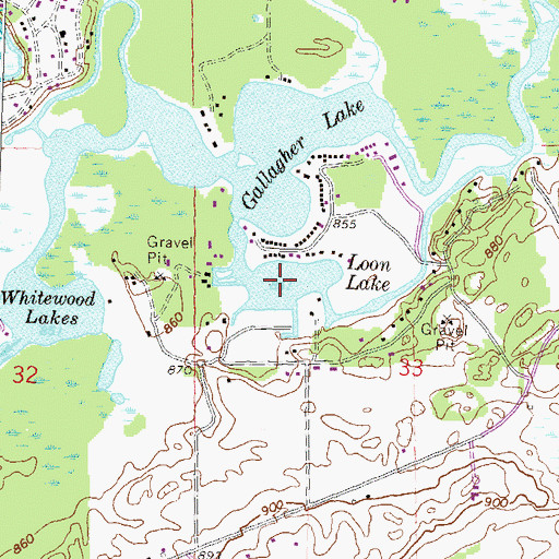 Topographic Map of Loon Lake, MI