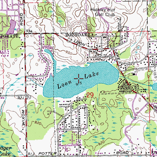 Topographic Map of Loon Lake, MI