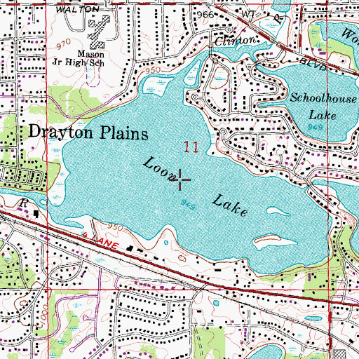 Topographic Map of Loon Lake, MI
