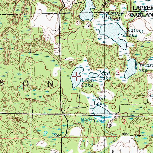Topographic Map of Loon Lake, MI