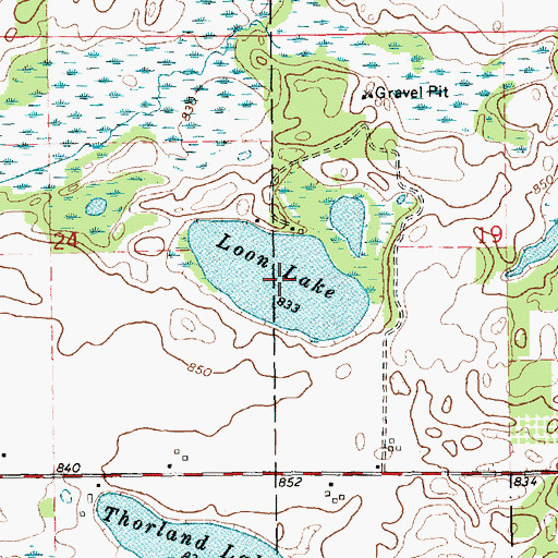 Topographic Map of Loon Lake, MI