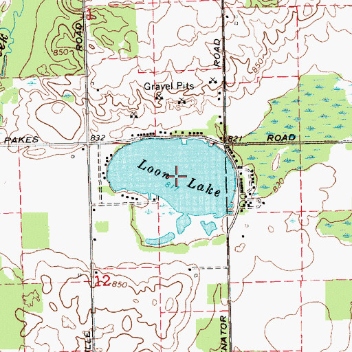 Topographic Map of Loon Lake, MI