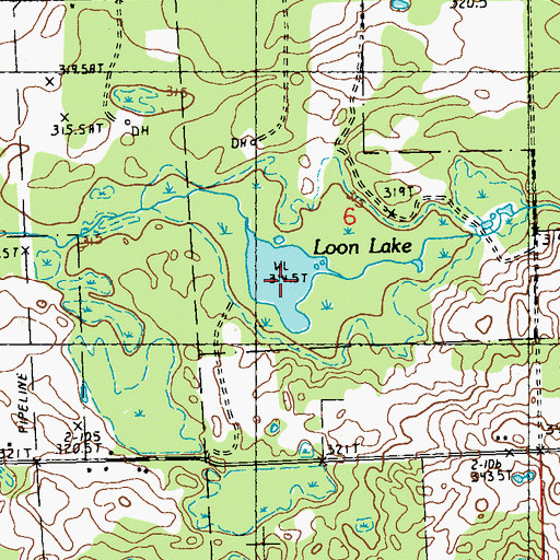 Topographic Map of Loon Lake, MI