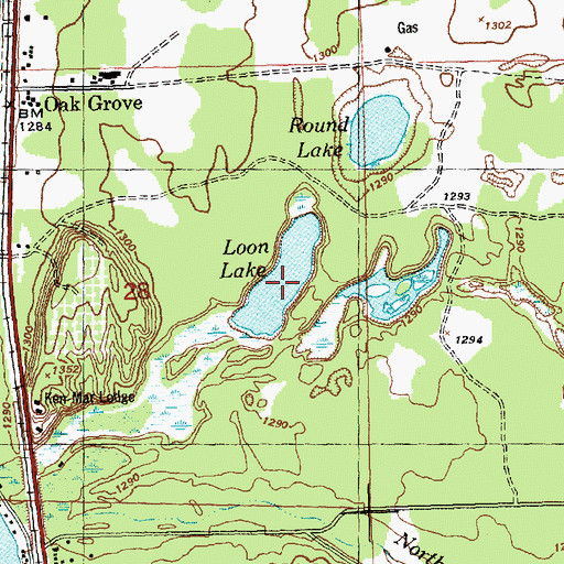 Topographic Map of Loon Lake, MI