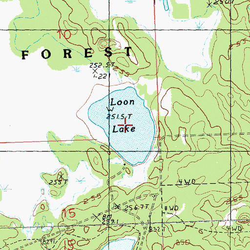 Topographic Map of Loon Lake, MI