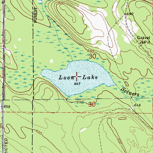 Topographic Map of Loon Lake, MI