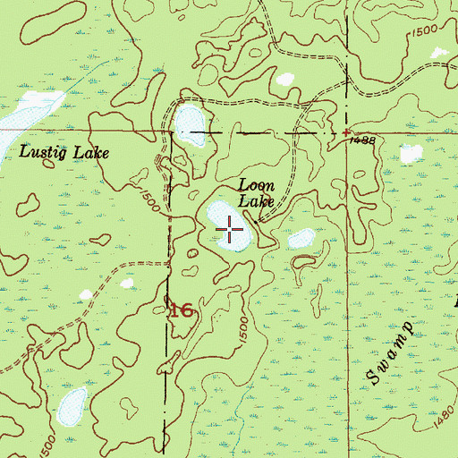Topographic Map of Loon Lake, MI