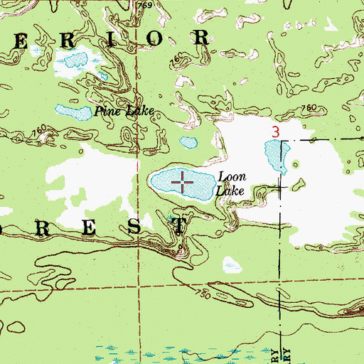 Topographic Map of Loon Lake, MI