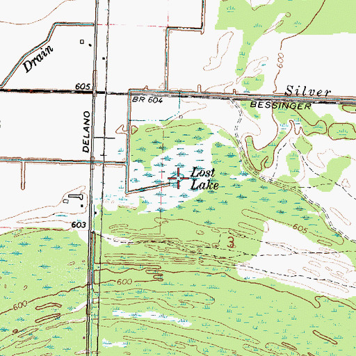 Topographic Map of Lost Lake, MI