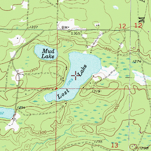Topographic Map of Lost Lake, MI