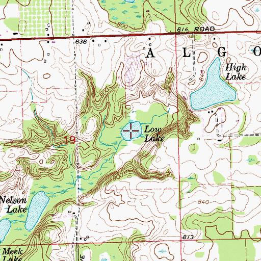 Topographic Map of Low Lake, MI