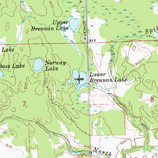 Topographic Map of Lower Brennan Lake, MI