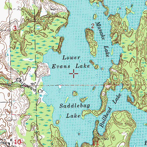 Topographic Map of Lower Evans Lake, MI