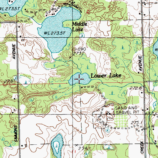 Topographic Map of Lower Lake, MI