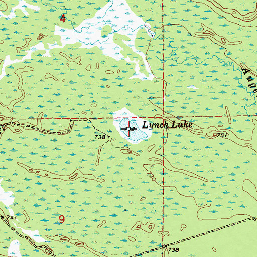 Topographic Map of Lynch Lake, MI