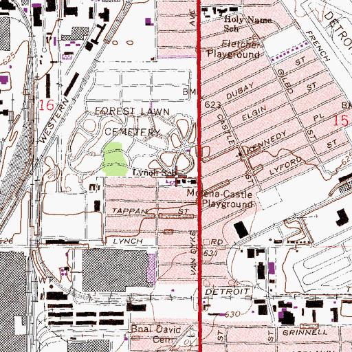 Topographic Map of Lynch School, MI