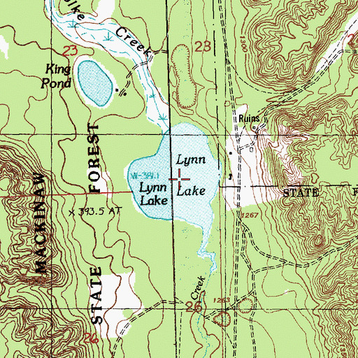 Topographic Map of Lynn Lake, MI