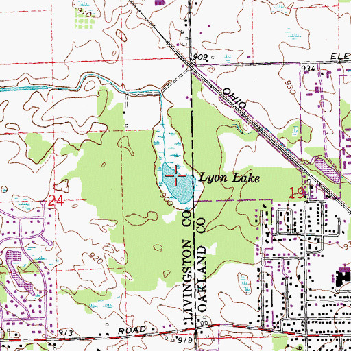Topographic Map of Lyon Lake, MI