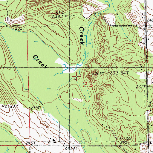 Topographic Map of Lyons Creek, MI
