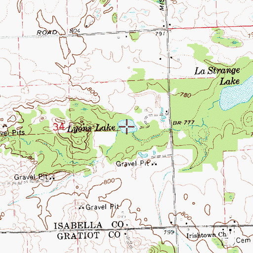 Topographic Map of Lyons Lake, MI