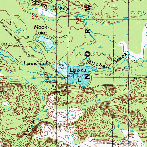 Topographic Map of Lyons Lake, MI