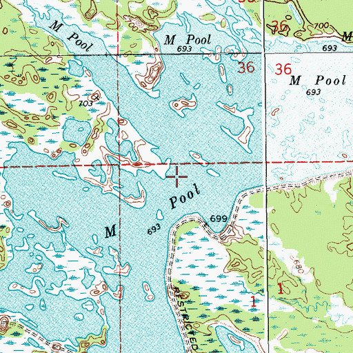 Topographic Map of M Pool, MI