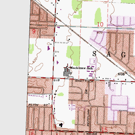 Topographic Map of Mackinaw School, MI