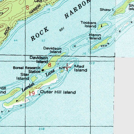 Topographic Map of Mad Island, MI
