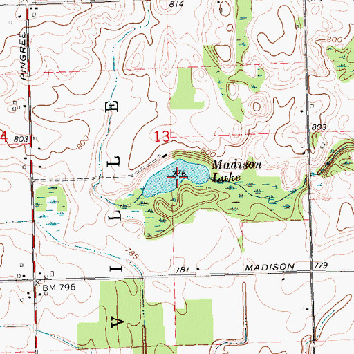Topographic Map of Madison Lake, MI