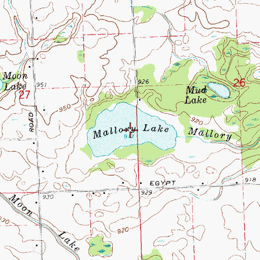 Topographic Map of Mallory Lake, MI