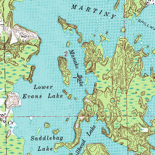 Topographic Map of Manake Lake, MI