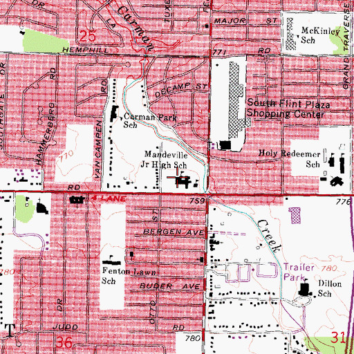 Topographic Map of Mandeville Junior High School, MI