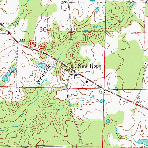 Topographic Map of New Hope Baptist Church, AR