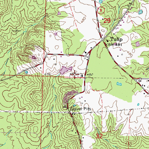 Topographic Map of Tulip Cemetery, AR