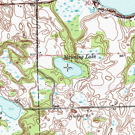 Topographic Map of Manning Lake, MI